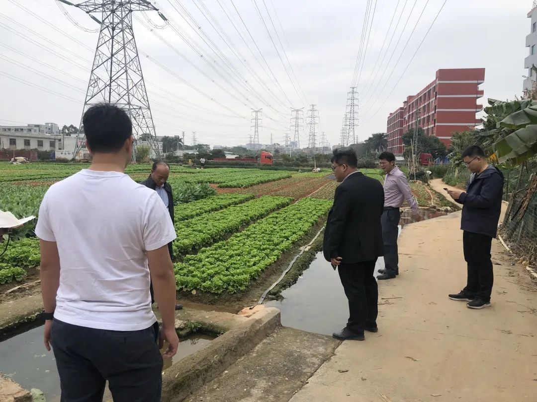 助力乡村振兴，4008云顶集团一直在努力！