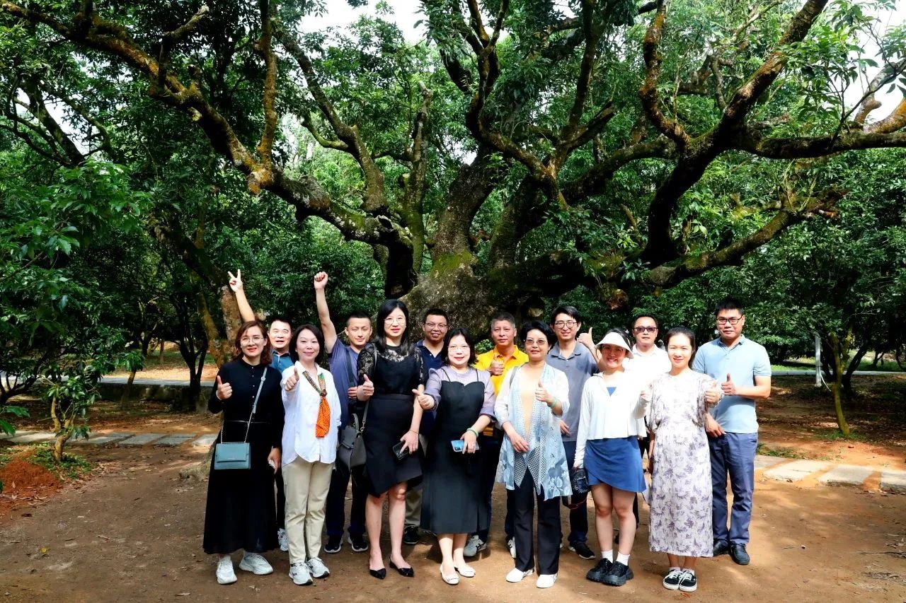 4008云顶集团集团作为省国土空间生态修复协会轮值会长带队调研粤西全域土地综合整治工作