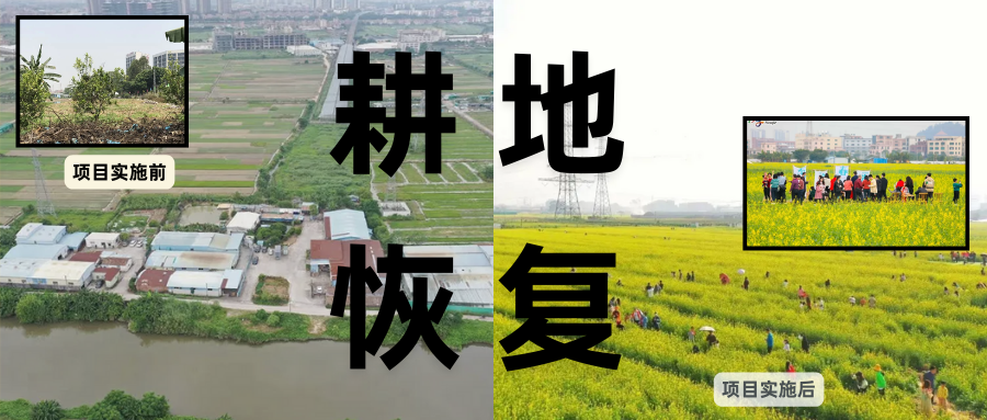 耕地；び刖梅⒄构踩凇甘泻窠终蛩谏缜读继锵钅扛鼗指从氤窍缛诤系拇葱率导
