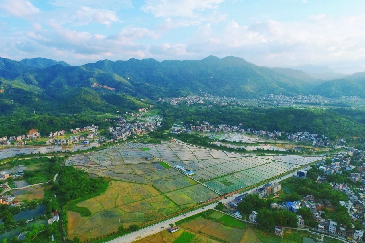 4008云顶集团集团丨“百千万工程”显实效：云浮罗定泗纶镇以全域土地综合整治为抓手，绘就乡村振兴新画卷